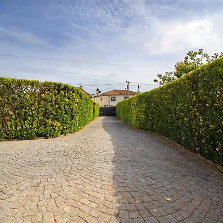 Com 4 * Апулия